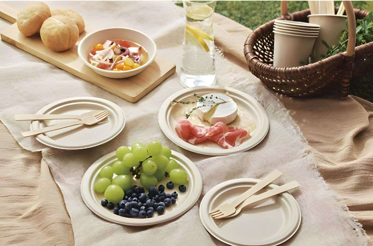 Why Bagasse Tableware Is the Perfect Choice for Modern Eco-Lovers