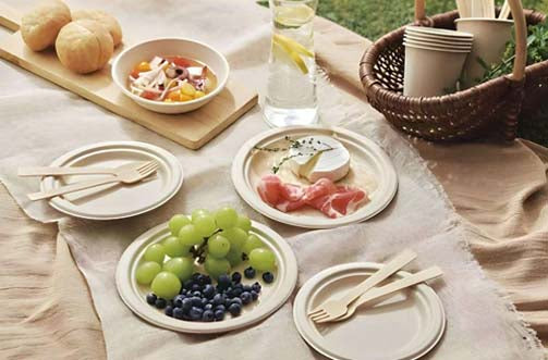 Outdoor picnic with disposable plates, wooden cutlery and paper cups alongside fresh fruit, cheese and bread