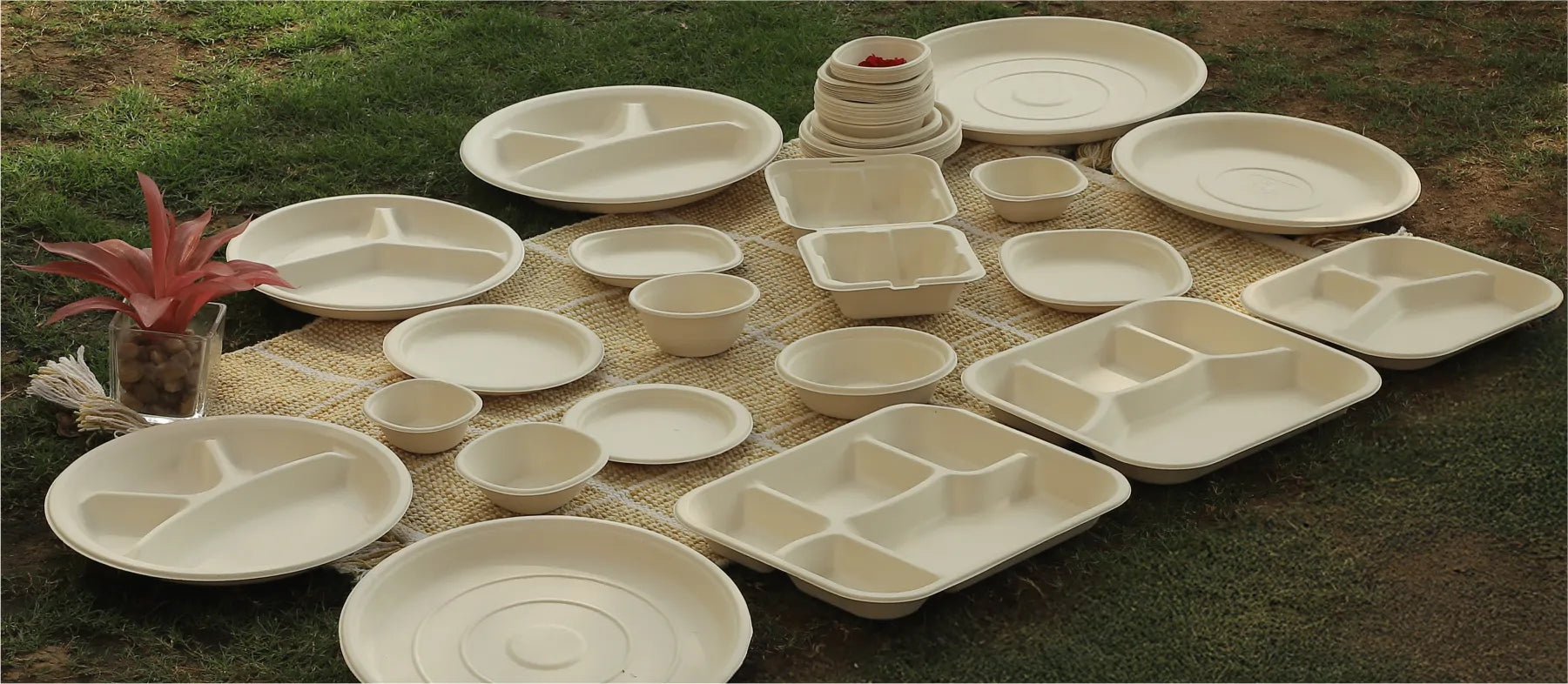 Choose Bagasse for a Cleaner Tomorrow – The Future of Eco-Friendly Dining