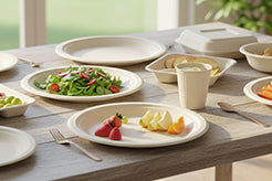 Bagasse