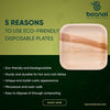Bosnal - Palm Leaf Biodegradable Plates; 7 inch, Square, 25 Pcs