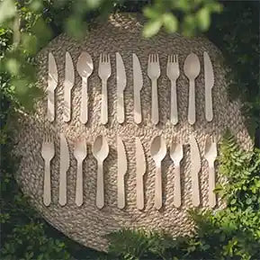 Wooden forks, knives and spoons arranged in two rows on a round woven placemat surrounded by greenery