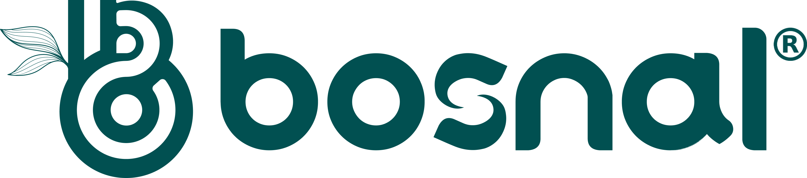 Bosnal logo