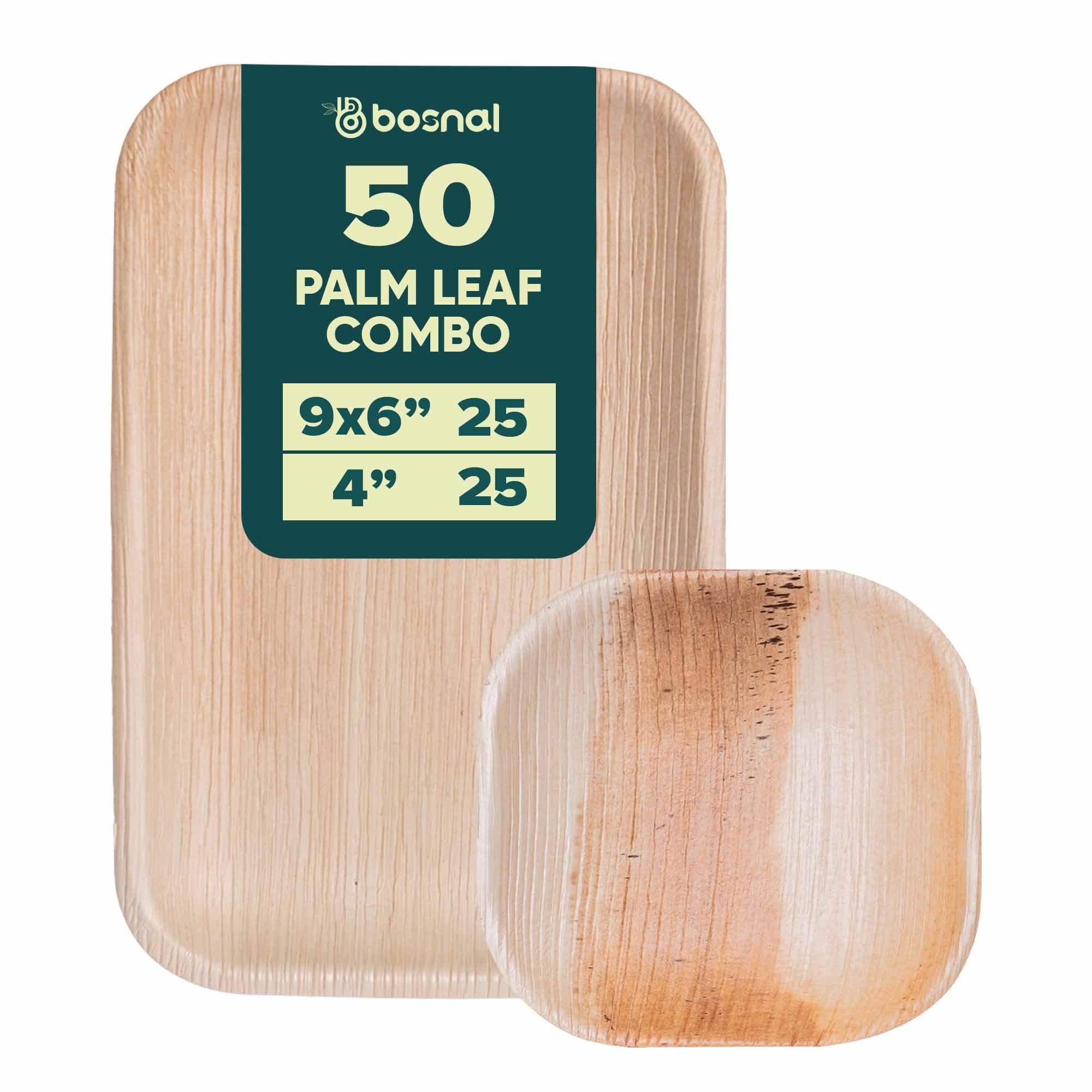 9x6 Rectangle & 4 inch Square Plates Combo