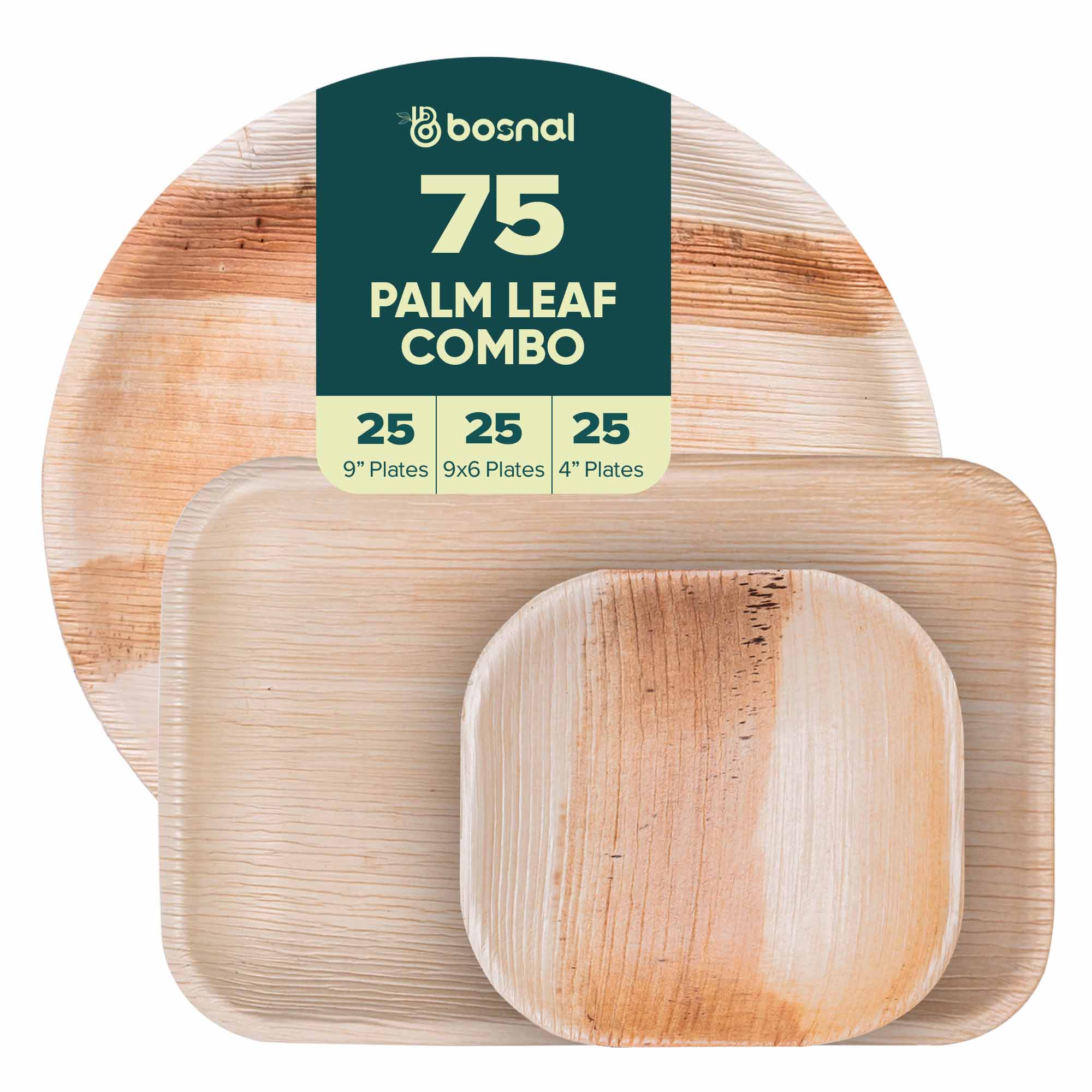 9 inch Round Plates, 9x6 Rectangle Plates with 4 inch Square Plates Combo