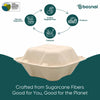 Bosnal 6 Inch Compostable Square Clamshell Containers, Case of 20 (500 Pcs) – Eco-Friendly Wholesale Pack