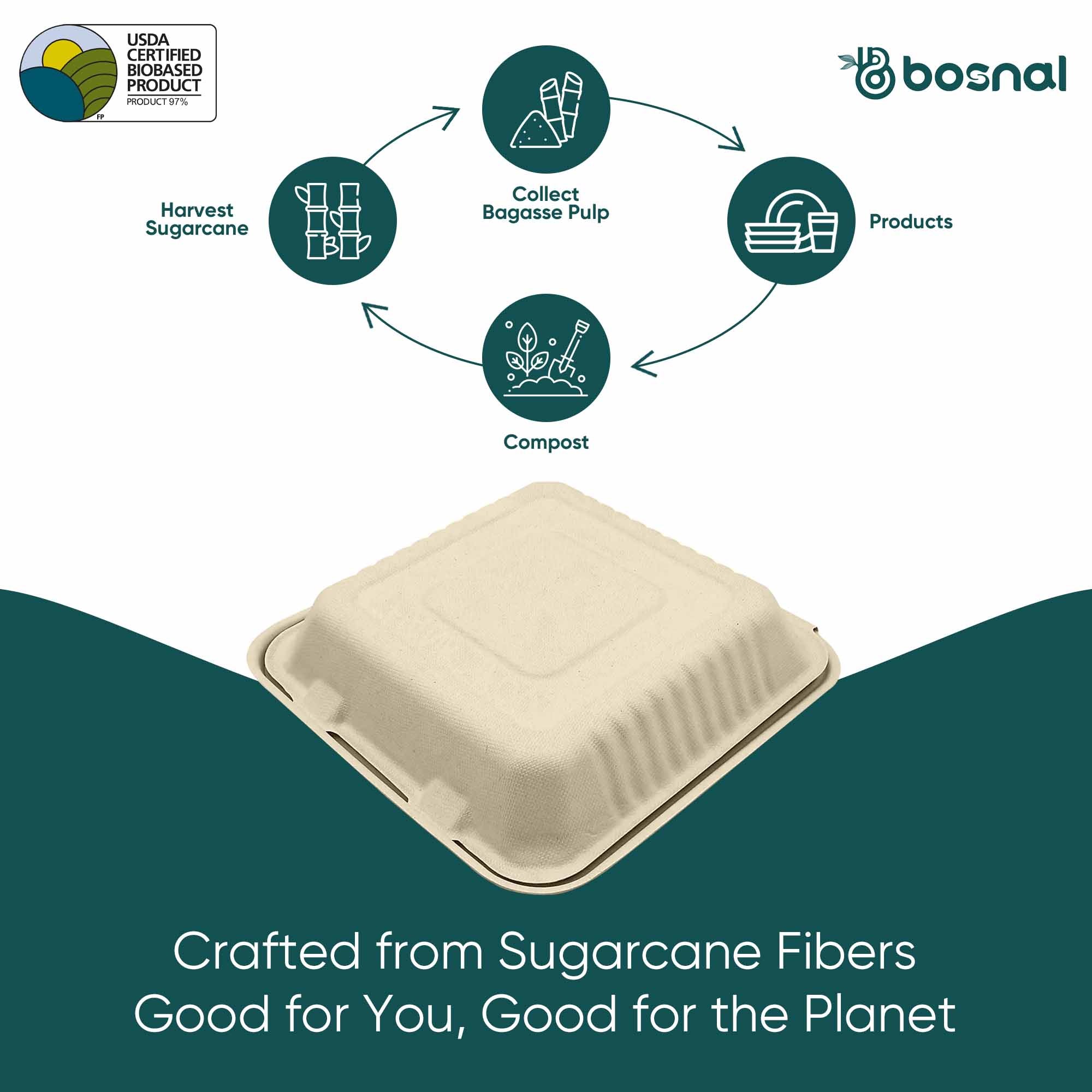 Bosnal - Sugarcane Bagasse Compostable 9 Inch 3-Compartment Clamshell