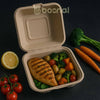 Bosnal 6 Inch Compostable Square Clamshell Containers, Case of 20 (500 Pcs) – Eco-Friendly Wholesale Pack