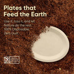 10 Inch Oval Bagasse Compostable Plates, Eco-Friendly Biodegradable Sugarcane Tableware, Durable for Parties & Everyday Use