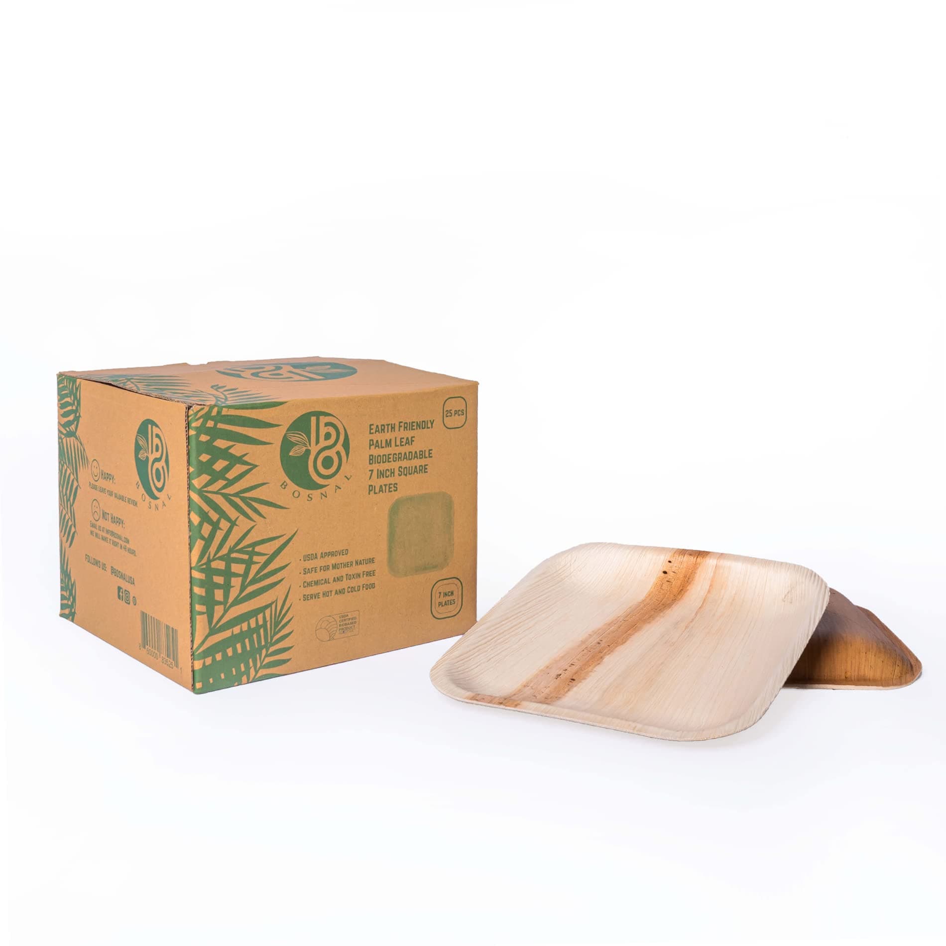 Biodegradable Disposable Plates - 100 pc. Square Compostable